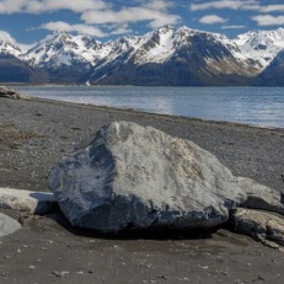 Meet your Posher, Joshua - Picture 1 of 1